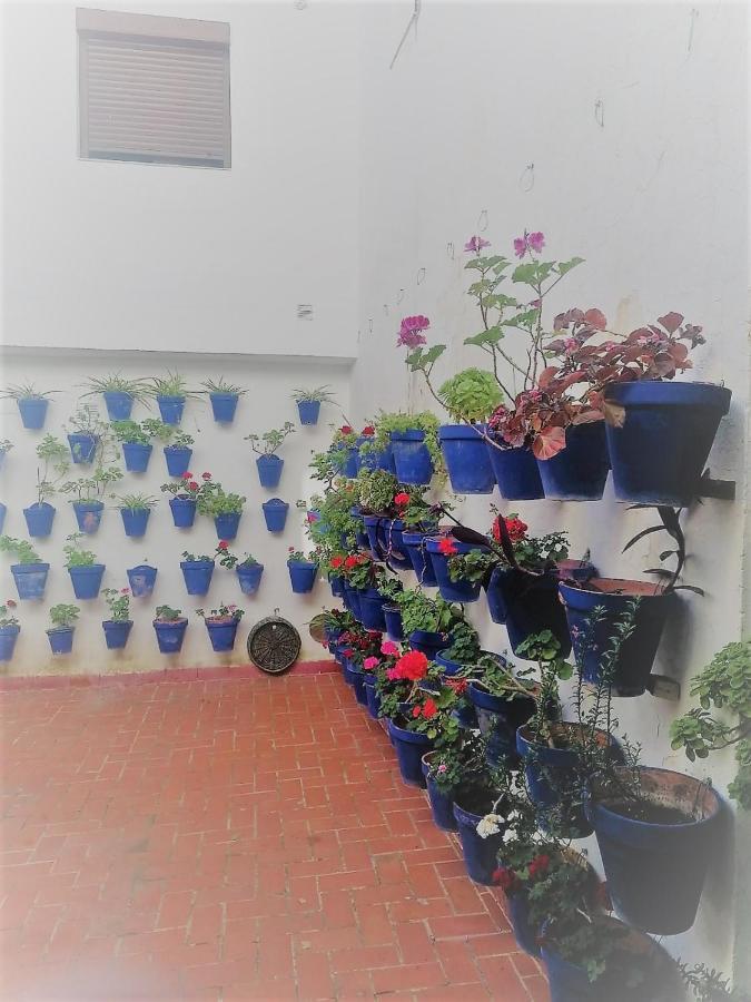 קורדובה Plaza Mayor 2 Dormitorios מראה חיצוני תמונה